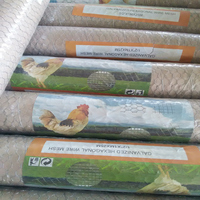 Grillage hexagonal galvanisé à chaud, grillage à poules, maille de 1/2 pouce et 1 pouce, revêtement PVC, pour cages à lapins et volières, rouleau de 50m