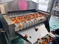 Hoge capaciteit verwerkingsmachines borstelrol yam cassave zoete aardappel groente fruit wasmachine