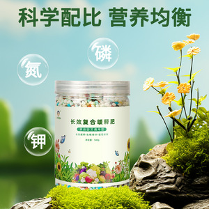 Fertilizante compuesto de liberación lenta de acción prolongada 500g para plantas y flores de jardín doméstico - Product Image 2