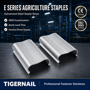 <span class=keywords><strong>Agrafes</strong></span> <span class=keywords><strong>de</strong></span> clôture en fil métallique galvanisé <span class=keywords><strong>de</strong></span> qualité agricole série E pour clôtures et treillis agricoles - Product Image 3