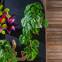 Plante artificielle suspendue en plastique, lierre pour décoration de Thanksgiving, mariage, mur, jardin, balcon, véranda, intérieur, extérieur, maison