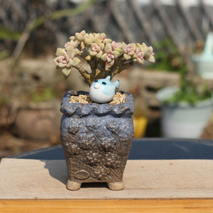 Maceta de flores de pila antigua suculenta al por mayor Maceta de cerámica en bruto mate vintage en relieve Maceta de muesca de acantilado creativa - Product Image 5