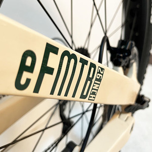 Roadsan Vélo Électrique Léger de Haute Qualité avec Batterie Centrale 48V 15AH, Autonomie 60km, Cadre Aluminium 750W, Modèle Alps M9, Roadsan OD - Product Image 4