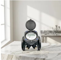 Compteur d'eau industriel intelligent NB-IoT 4G IoT à ultrasons pour tuyaux en acier au carbone, mesure bicanal, DN50-DN150