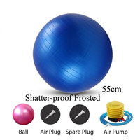 Professioneller Lila 55cm Verdickter Matter Yoga-Ball für Zen-Meditation und Ganzheitliches Wohlbefinden Anti-Burst PVC Stabilitäts-Kern-Tool