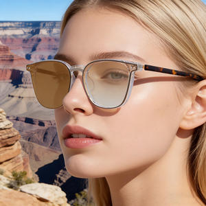 Lunettes de soleil pour hommes ZT-2893, monture carrée en TR, verres en PC, protection UV400, classe 2, pare-soleil, couleur noire, design à manchon magnétique - Product Image 2