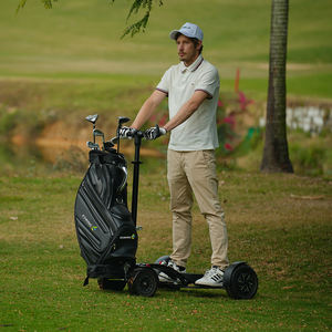 Eswing 販売用 アルミニウム製 ミニ 折りたたみ式 電動ゴルフカート 軽量 ゴルフスクーター - Product Image 3