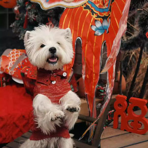 Boa Sorte Vem Inverno Ecológico Confortável Pet Roupas Vermelho Clássico Design Camisola Do Cão De Natal - Product Image 2