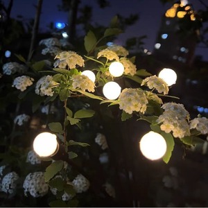 太阳能景观灯 风光灯 LED摇摆萤火虫灯 6/8/10头户外花园草坪氛围灯 其他烛台 - Product Image 4