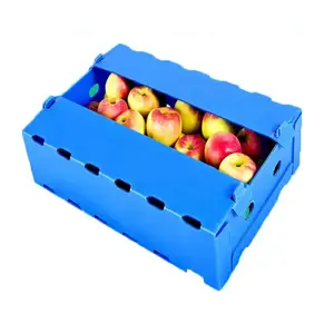 Polypropylene Corrugated Plastic Stackable Fruit Boxes for berries, cherries