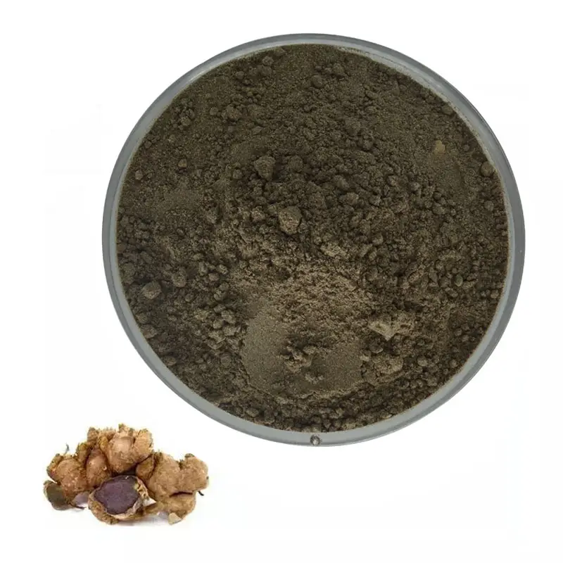 Black Ginger Powder Factory Supply 100% Pure Dried Organic Black Ginger Extract