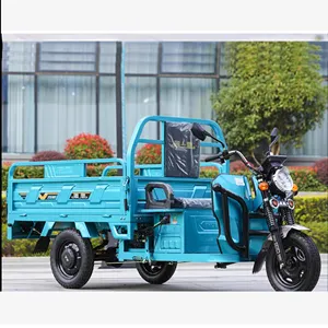 Heavy Duty Electric Cargo Vehicle 1800w High Speed Three Wheel Cargo Bike Truck Cargo Tricycle