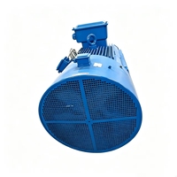 Motor de Corriente Alterna Estándar de Ahorro de Energía, 400V/690V 200KW, Protección IP54/IP55, Trifásico, para Minería