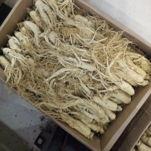 San <span class=keywords><strong>Ren</strong></span> <span class=keywords><strong>Shen</strong></span> — racines de ginseng séchées naturelles, plantes de corée, bon prix, pour vente - Product Image 5
