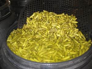 Concombres / cornichons en saumure - Product Image 3