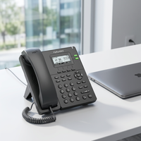 Téléphone IP d'entreprise Flyingvoice P20, 2 lignes SIP 2.0, Wi-Fi 2.4G, port USB 2.0, écran LCD rétroéclairé 2,3 pouces, Ethernet RJ45, prise en charge EHS10