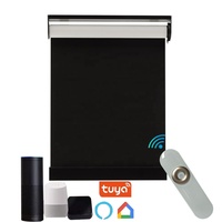 Caja Ventanas ciegas Persianas enrollables motorizadas Persianas enrollables de doble capa Motor de batería Persianas enrollables para ventanas