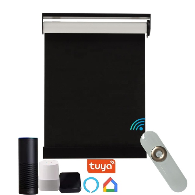 Built-In Electric Motorized Double Layer Plain Roller Blinds with Blackout Battery Operated