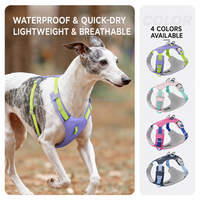 Ensemble de harnais et de laisse réglables pour chien avec laisse de 2,2 m, harnais de promenade rembourré léger pour chiens de petite et moyenne taille, XS-XL