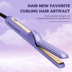 Sèche-cheveux lisseur tout-en-un à vente chaude transfrontalière, plaque PTC anti-brûlure, ne prend pas en charge les ventes nationales - Product Image 3