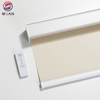 Persianas de ventanas motorizadas inteligentes con Wifi, persianas enrollables de control remoto con batería para ventana opaca