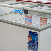 Vitrine de présentation de produits congelés à deux portes, à refroidissement direct, en verre plat de qualité commerciale, pour fruits de mer et poissons