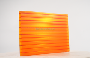 Panel hueco celular colorido extruido Anti-UV personalizado, hojas <span class=keywords><strong>de</strong></span> <span class=keywords><strong>Policarbonato</strong></span> <span class=keywords><strong>alveolar</strong></span> <span class=keywords><strong>de</strong></span> <span class=keywords><strong>policarbonato</strong></span> duraderas para <span class=keywords><strong>techo</strong></span> - Product Image 6