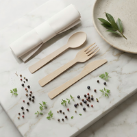 Einweg-Besteckset Biologisch Abbaubar Umweltfreundlich Löffel Gabel Messer für Hotel Restaurant Takeaway Party Großhandel