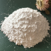 Additifs alimentaires de haute qualité 25KG de phosphate dicalcique de qualité alimentaire DCP