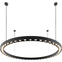 Lustre Industriel Américain en Or, Suspension LED E26 Sur Mesure, Câble Réglable pour Salle de Sport, Bar, Club, Restaurant, Librairie