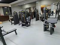 Machine de musculation ZY pour biceps et triceps, double fonction, équipement d'entraînement des bras pour les clubs de fitness et les salles de sport