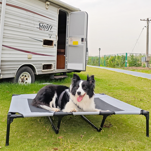 CanboPet-Cama elevada para perro, malla portátil, plegable, para exterior - Product Image 1