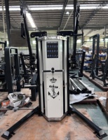 Câble multifonctionnel, appareil de musculation multifonctionnel, équipement de musculation de 100 kg, machines de musculation croisée OEM, sélection de charge par broche