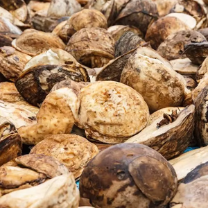 Caoutchouc naturel brun de qualité supérieure en balles, provenant du Vietnam - Fournisseur professionnel avec expérience d'exportation mondiale, qualité standard - Product Image 1