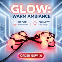 Boule lumineuse LED RGB adressable de 50 mm, programmable SPI DMX, étanche IP67, éclairage décoratif extérieur permanent pour aménagement paysager