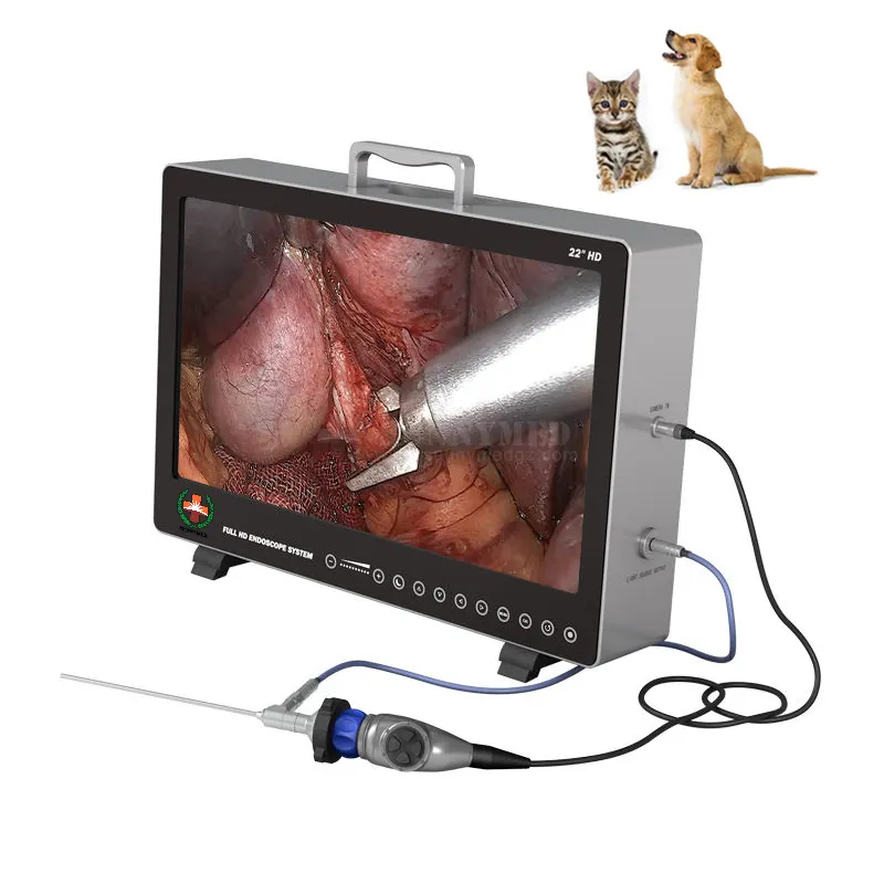 ระบบส่องกล้องทางเดินอาหารแบบ Full HD แบบพกพาสำหรับสัตวแพทย์กล้องส่องตรวจระบบทางเดินปัสสาวะ