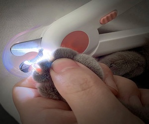 Coupe-ongles professionnel pour <span class=keywords><strong>animaux</strong></span> de compagnie avec lumière LED réglable en acier inoxydable pour débutants coupe-pattes pour <span class=keywords><strong>animaux</strong></span> de compagnie - Product Image 4