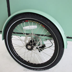 Nouveau <span class=keywords><strong>Tricycle</strong></span> électrique Cargo frontal pour transporter les enfants et les marchandises, vélo néerlandais - Product Image 6