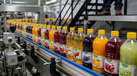 Geconcentreerde fruitbasis productie-eenheid fruitsapfabriek complete machines complete set turnkey productielijn