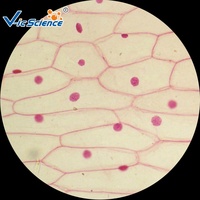 100 Uds. Microscopio de biología diapositivas preparadas microscopio biología diapositivas educativas fábrica de diapositivas preparadas biológicas
