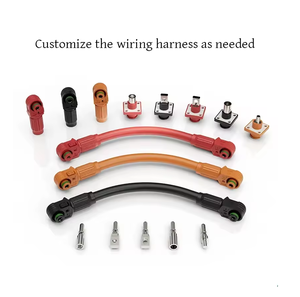 Кабель для аккумуляторов высокого тока, кабель для систем накопления энергии, солнечный кабель, жгут проводов, кабель для инвертора с медным наконечником M8 - Product Image 2