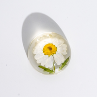 Produits faits à la main, dôme de plantes réelles, presse-papiers en résine, spécimens intégrés, fleurs naturelles, ornements artisanaux