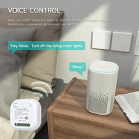 Module de commutation intelligent Wi-Fi Graffiti, module cassette marche/arrêt, prend en charge le panneau de commutation auto-alimenté 10A 240V, modèle QX-306jswifi Flame