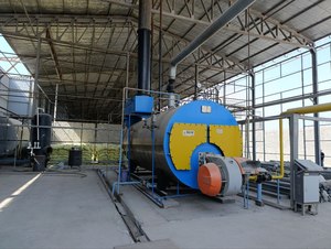 Línea Automática de Procesamiento de Aceite de Colza, Solución Llave en Mano para Planta de Fabricación de Aceite Comestible, Equipo de Extracción de Aceite - Product Image 3