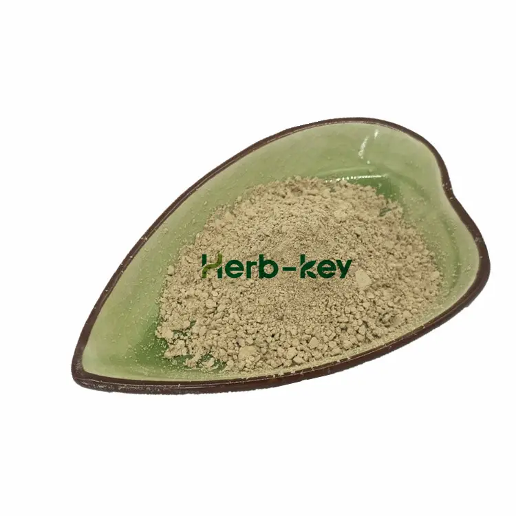 Herb-key Chinese Honey Locust Extract Powder Genistein 98% Powder