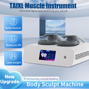 Produit phare 2026 : Stimulateur musculaire et masseur à impulsions, équipement de perte de poids non invasif et indolore - Product Image 6