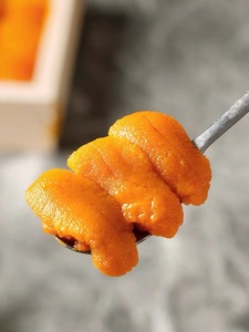 Riccio di Mare Fresco Surgelato di Alta Qualità al Miglior Prezzo, Prodotti Ittici Freschi Premium - Product Image 3