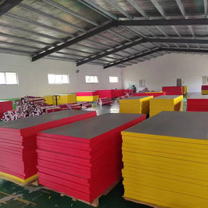 Esterilla de Judo estándar para interiores PU EVA Tatami para MMA Jiu-Jitsu Taekwondo Karate Grappling Aikido estándar internacional - Product Image 2