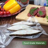 Rouleau de sac en plastique sous vide de qualité alimentaire en nylon pré découpé de 25cm * 500cm * 90mic
