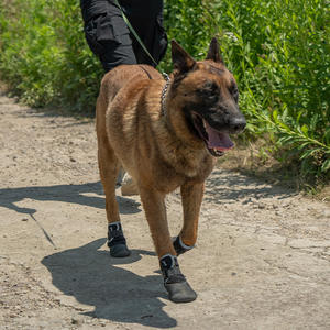 جيانبو 1pet كل المواسم أحذية الكلاب للماء عدم الانزلاق الشتاء أحذية الحيوانات الأليفة مع الشريط تيدي نمط لينة النعل مادة النايلون - Product Image 6